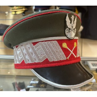 Фуражка с вышивкой по индивидуальному заказу TK086