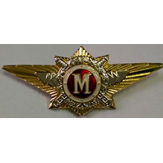Нагрудный знак МВД 006