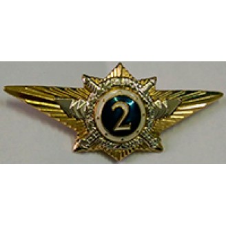 Нагрудный знак МВД 009